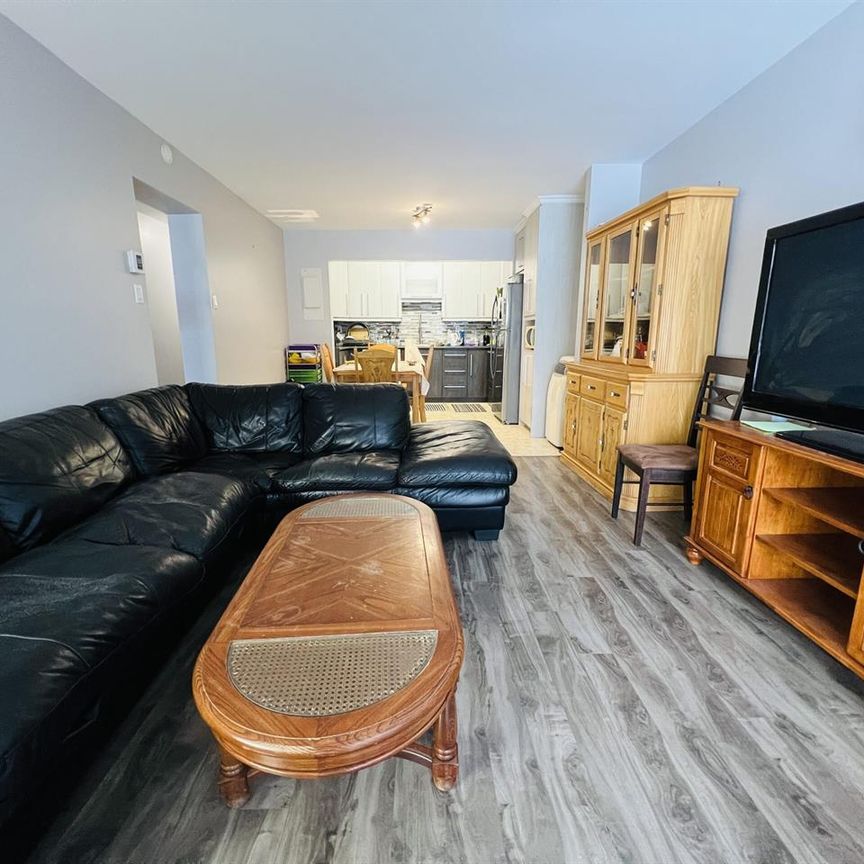 OSEN Appartement 4 ½ à Louer Sainte-Foy / Sillery Juillet 2026 - Photo 1