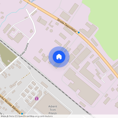 Bd.Nicolae Balcescu, Pitesti