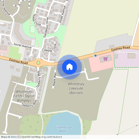 Almond Avenue, Whittlesey, Peterborough