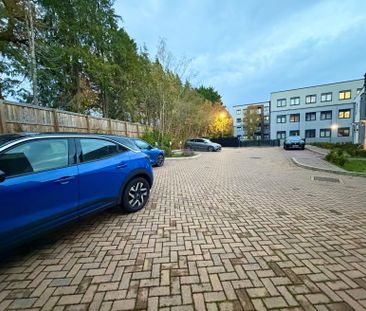 3 bedroom house to rent - Photo 5