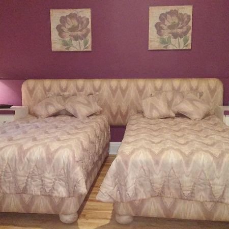 LIBRE IMMÉDIATEMENT - Grand 21/2 meublé, équipe, tout inclus, Métro Papineau - Photo 3