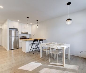 Appartement à louer - Montréal (Ville-Marie) (Village) - Photo 6
