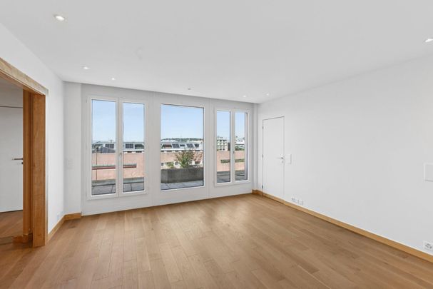 Exceptionnel attique de 5 pièces avec vue panoramique à Florissant - Foto 1