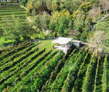 Elégante VILLA AVEC JARDIN DANS UNE ZONE RÉSERVÉE - Photo 2
