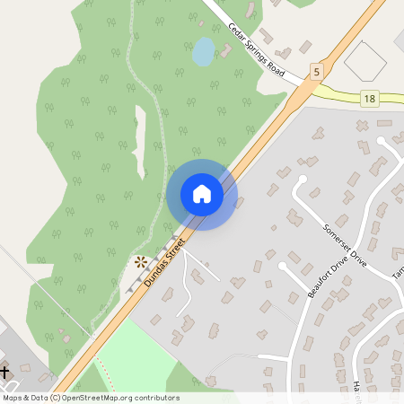 1537 Dundas Street Unit# Upper, Toronto