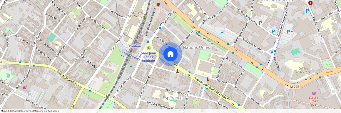 12 Rue de Blanchemaille, 59100, Roubaix