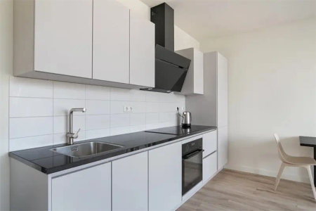 Appartement meublé Wethouder Hillenaarplantsoen, Rijswijk - Photo 4