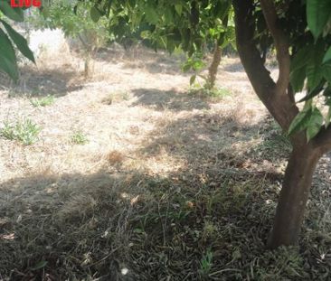 Μονοκατοικία για ενοικίαση Συνοικισμός Νεάπολης (Σικυώνα) - Photo 6