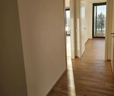 Erstbezug! Moderne Wohnung, EBK, groÃe Ã¼berdachte Loggia, einziga... - Foto 4