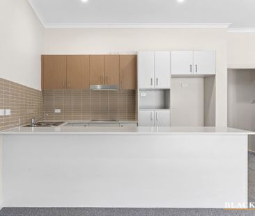 17/31 Thynne Street, Bruce ACT 2617 - Apartment For Rent | Domain - Photo 1