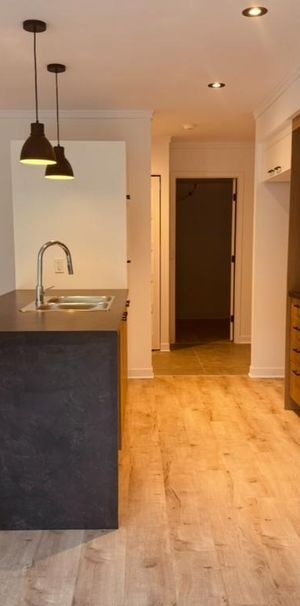 Logement 5 1/2 - Mars 2026 - Photo 1