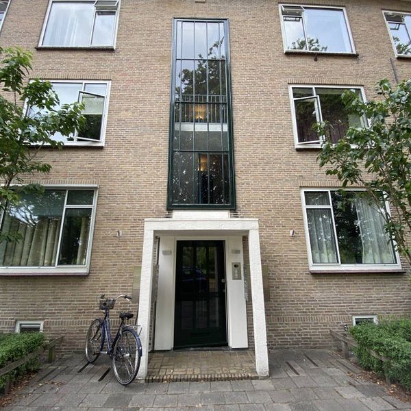 Boeimeerlaan - Foto 1