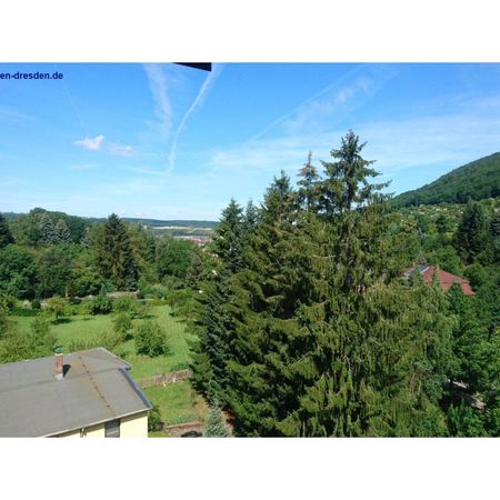 - 3 - Raumwohnung in Freital - Photo 3