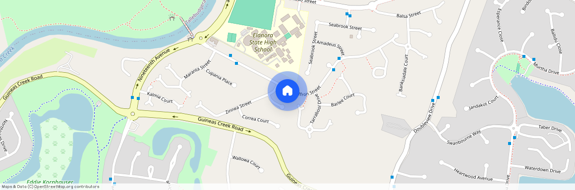 43 Saffron Street, Elanora