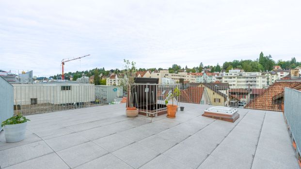 Stilvolle Wohnung mit Dachterrasse - Photo 1