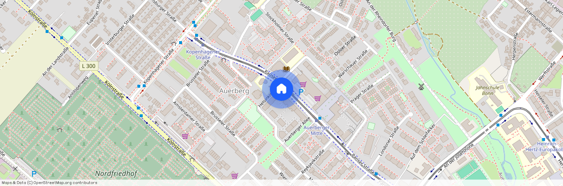 Pariser Straße 49d, 53117 Bonn