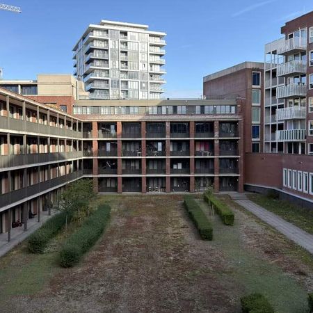 Appartement Professor Kamerlingh Onneslaan, Schiedam - À louer - Photo 4