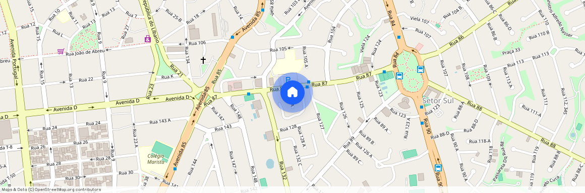 Rua 87, Setor Sul, GO, Goiânia