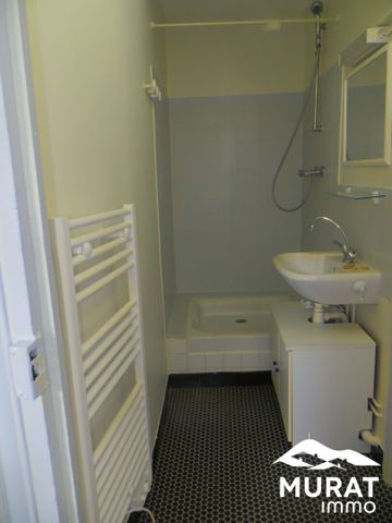 Location Appartement 2 pièces 34m² CLERMONT FERRAND 63000 - Photo 5