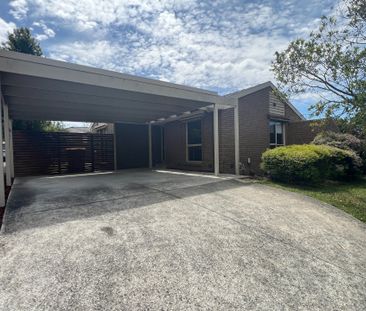 Freshly Renovated 3 Bedroom Home in Court Location - Photo 2