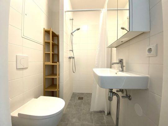 Te huur: Studio Treilerweg in Den Haag - Photo 1