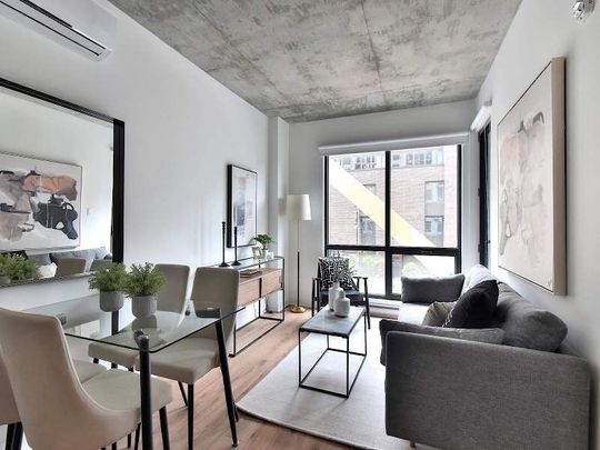 Nuberri Rental Apartments in Ville-Marie, Quartier Latin and Quartier des spectacles - Photo 1