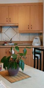4 1/2 a victoriaville - Photo 4