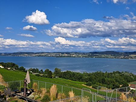 BAS DE CHAUX 1, Appartement de 2.5 pièces à la vue imprenable - N12 - Foto 3
