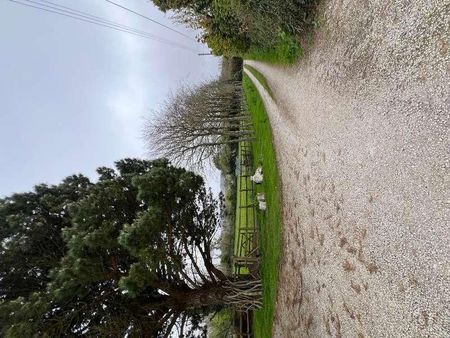 Green Lane, Wheal Rose, Redruth, Cornwall, TR16 - Photo 3