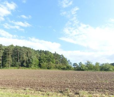 Schicke, möblierte 2-Zimmer-Mietwohnung mit herrlichem Blick in 977... - Photo 2