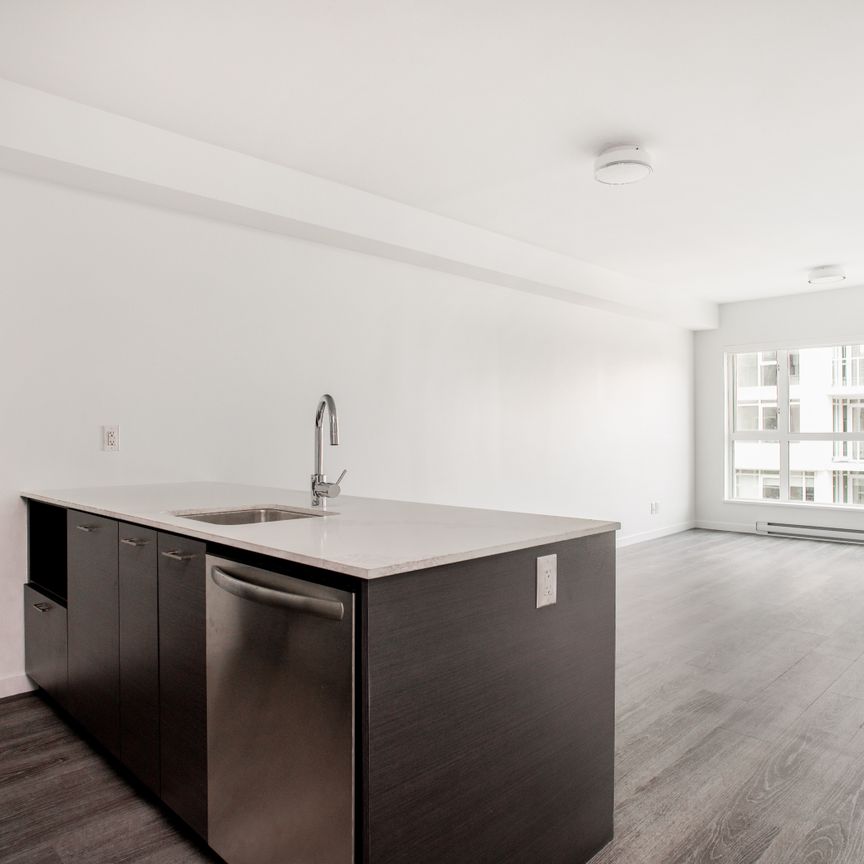 1008 Pandora Avenue, Victoria - Photo 1