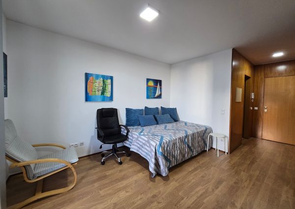 Furnished and equipped T0 flat next to Wisteria!