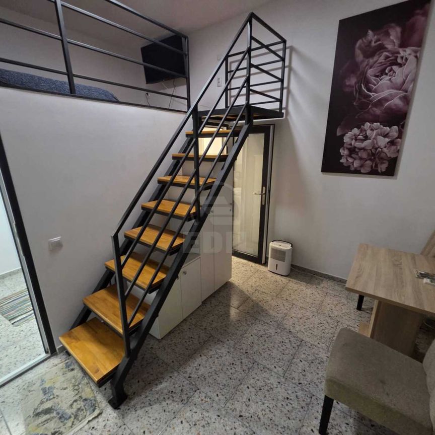 Apartament de Închiriere o camera, APCJ360333 - Photo 1