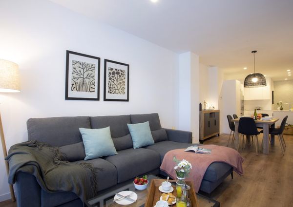 Piso de lujo en Valencia centro con terraza