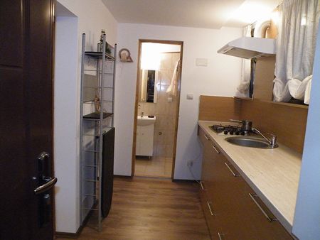 Apartment 2 rooms for rent Copou Iasi - Photo 3