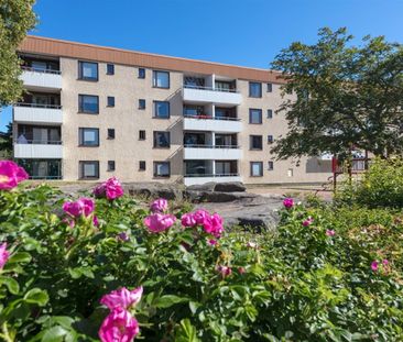 Bronsåldersstigen 6 - Photo 5