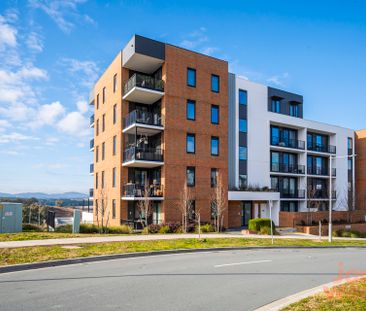 66/14 Hoolihan Street, Denman Prospect ACT 2611 - Apartment For Ren... - Photo 5