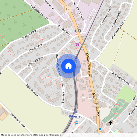 Blümlisalpstrasse 15, 4562 Biberist