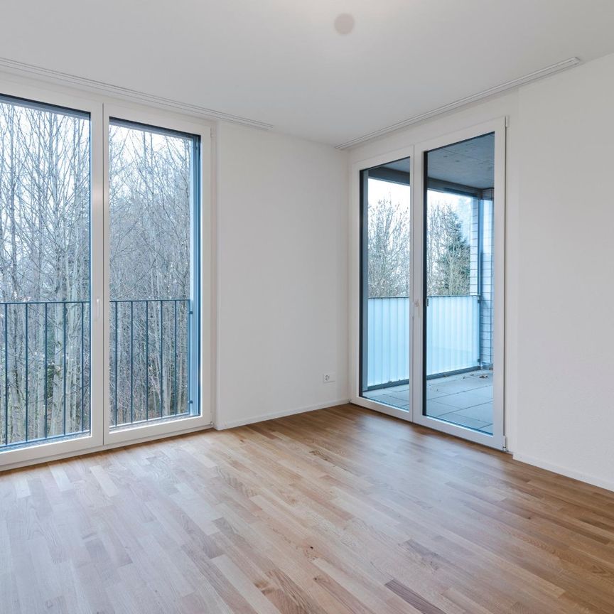 Charmante 2.5-Zimmerwohnung im Schachen AR zu vermieten - Photo 1