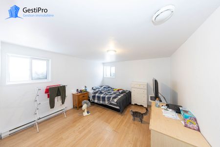 291 Hermine - Photo 4