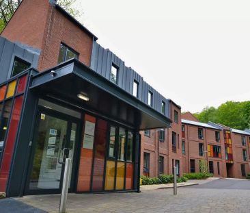 Gold Studio - Photo 6