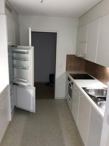 "In the heart of Zurich and on the Limmat" - Photo 2