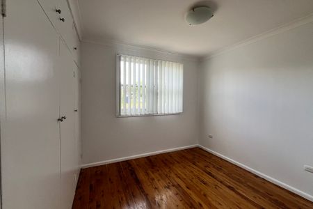 Brand New Kitchen - Photo 4