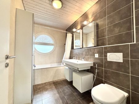 Beautiful family villa with pool just a stone’s throw from the lake in Coppet - Foto 5