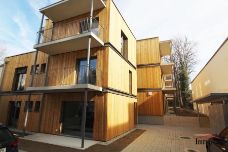 Ökologischer Neubau aus Holz! Hochwertige Wohnung nahe des Universitätszentrums! - Photo 2