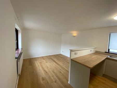 Moira Street, Cardiff - Photo 4