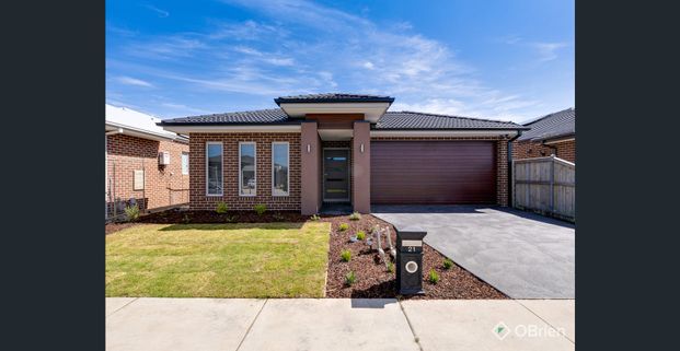 Picture Perfect! - Photo 1