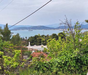 Μονοκατοικία για ενοικίαση Παραλία Αυλίδας (Αυλίδα) - Photo 5