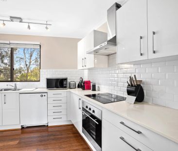 6C/37-43 Reynolds Street, Cremorne NSW 2090 - Apartment For Rent | ... - Photo 5