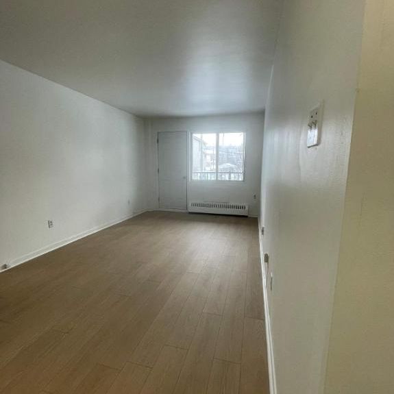 Studio - Montréal - $925 /mo - Photo 1